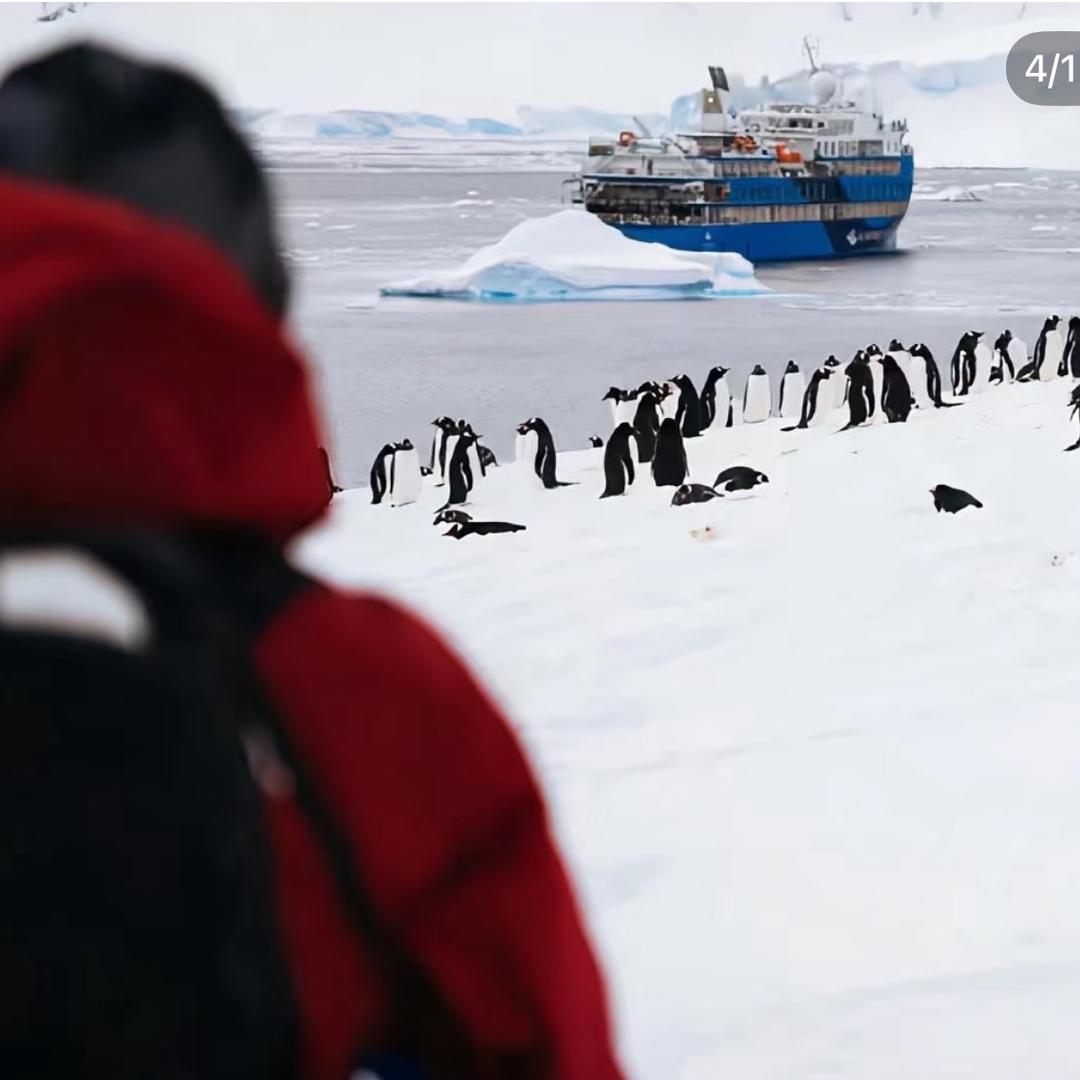 我的青春溜走了