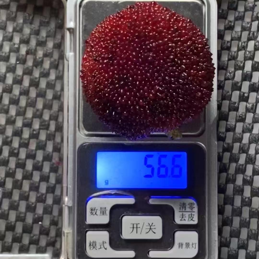 叮叮当水果