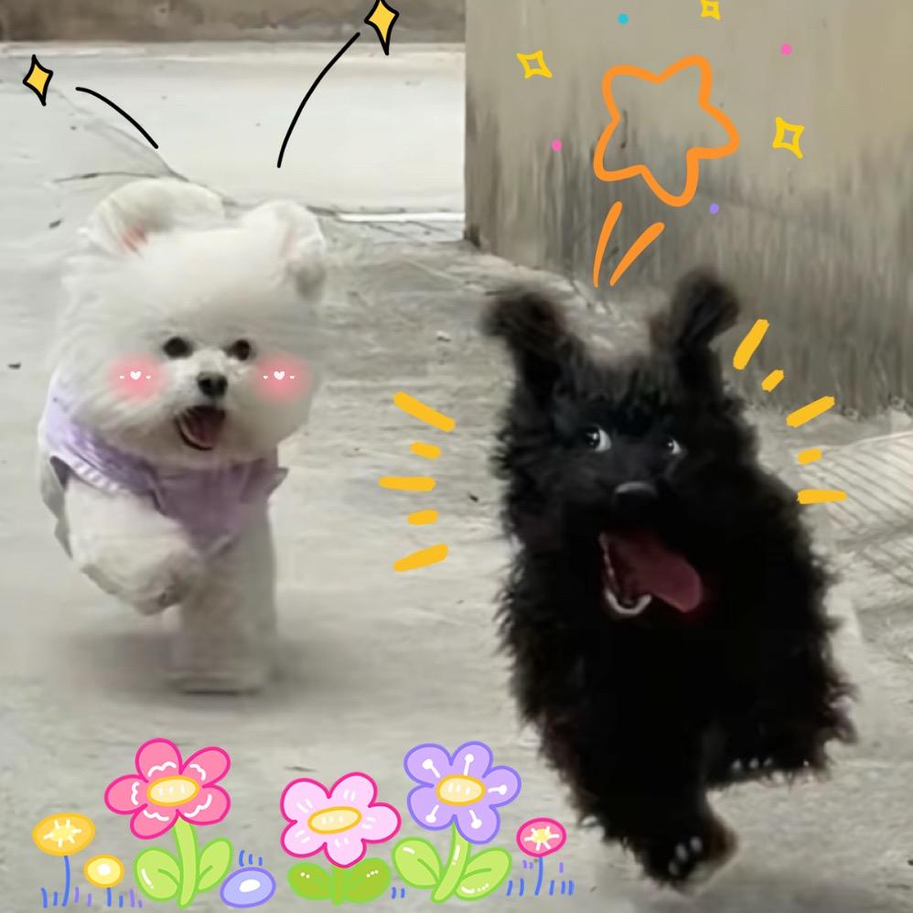 元气作精谢广坤（多多头发版）