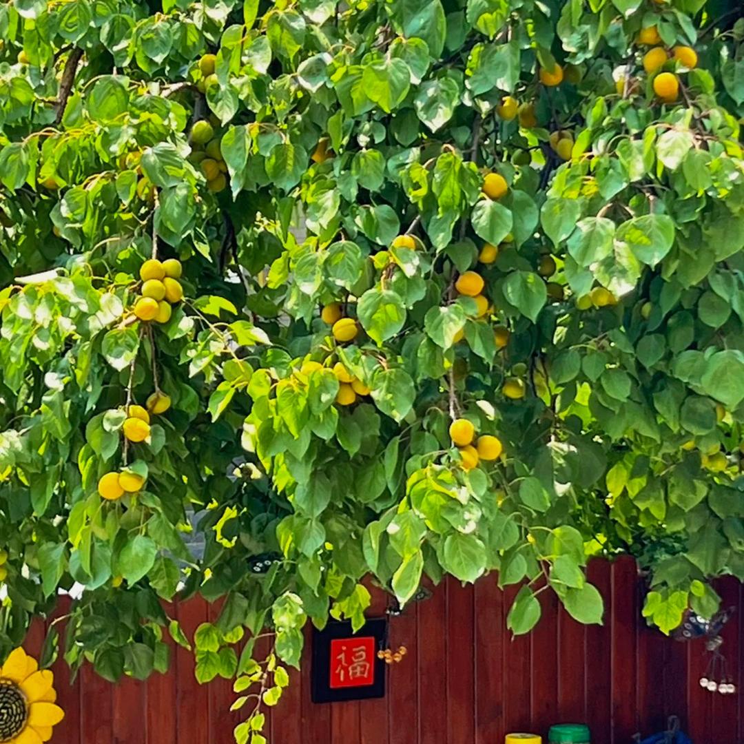 天晴☀️