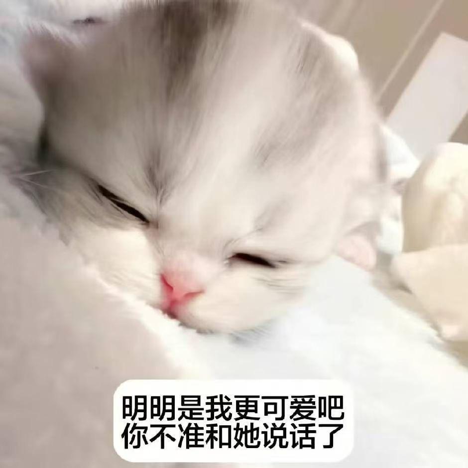 姬怃娌