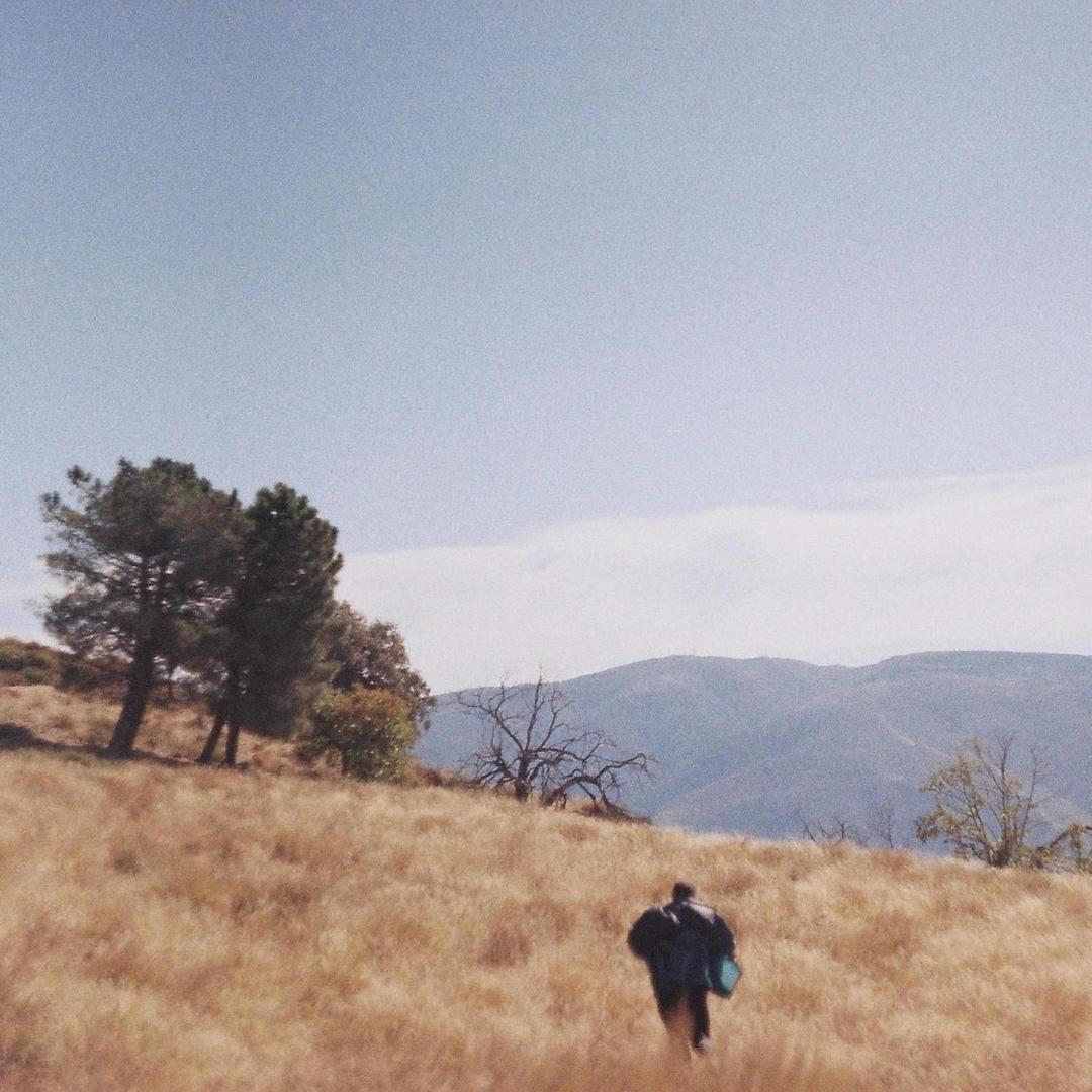 屎一样的人生就该给爱吃屎的人