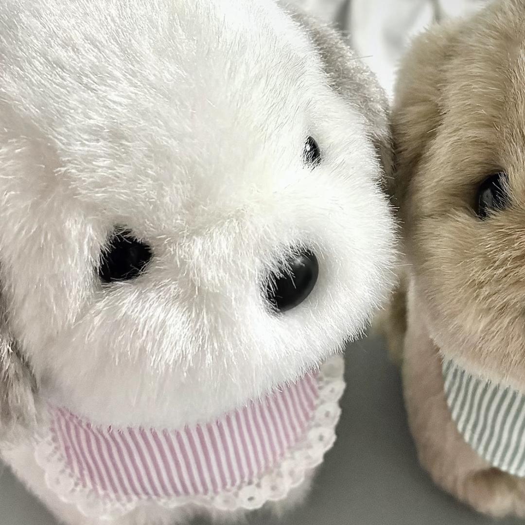 小凌