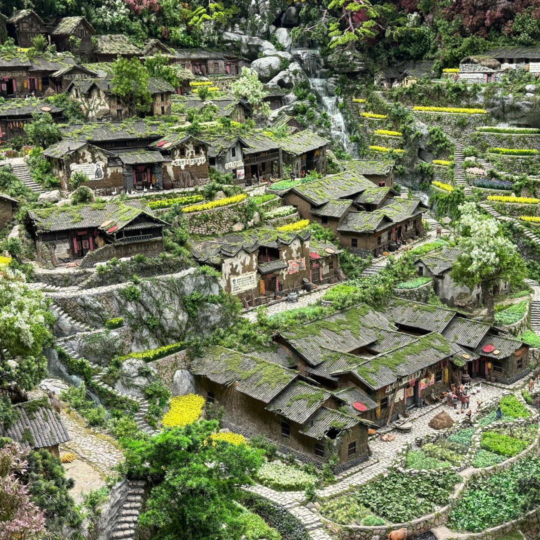 嗷鲨历蚊