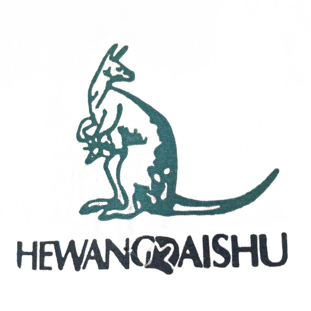 鹤王袋鼠鞋业工厂