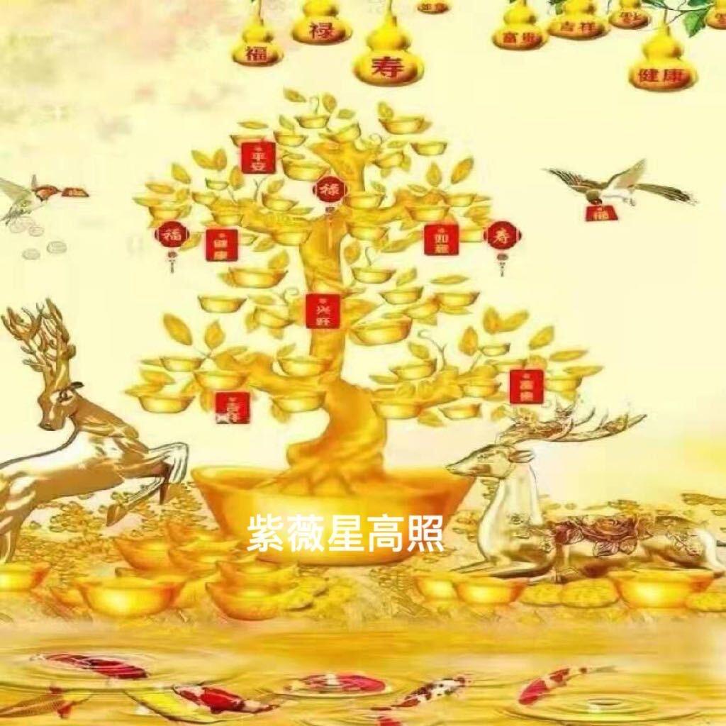 紫薇星高照