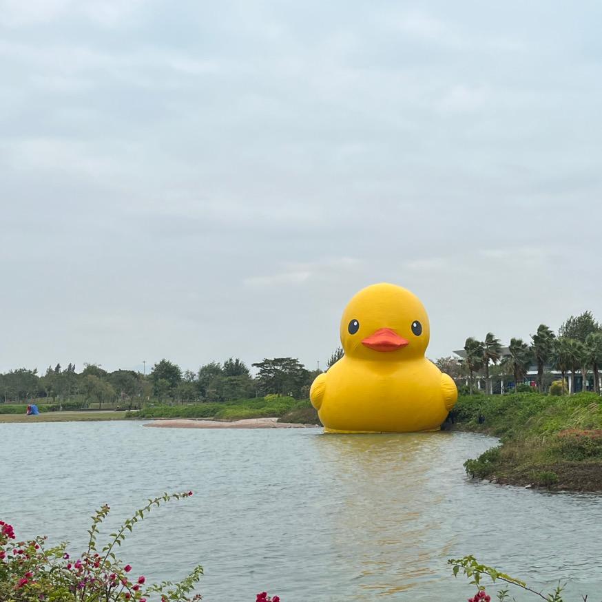 洋葱头