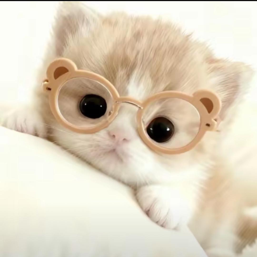 小小的玉米生气了会变成爆米花