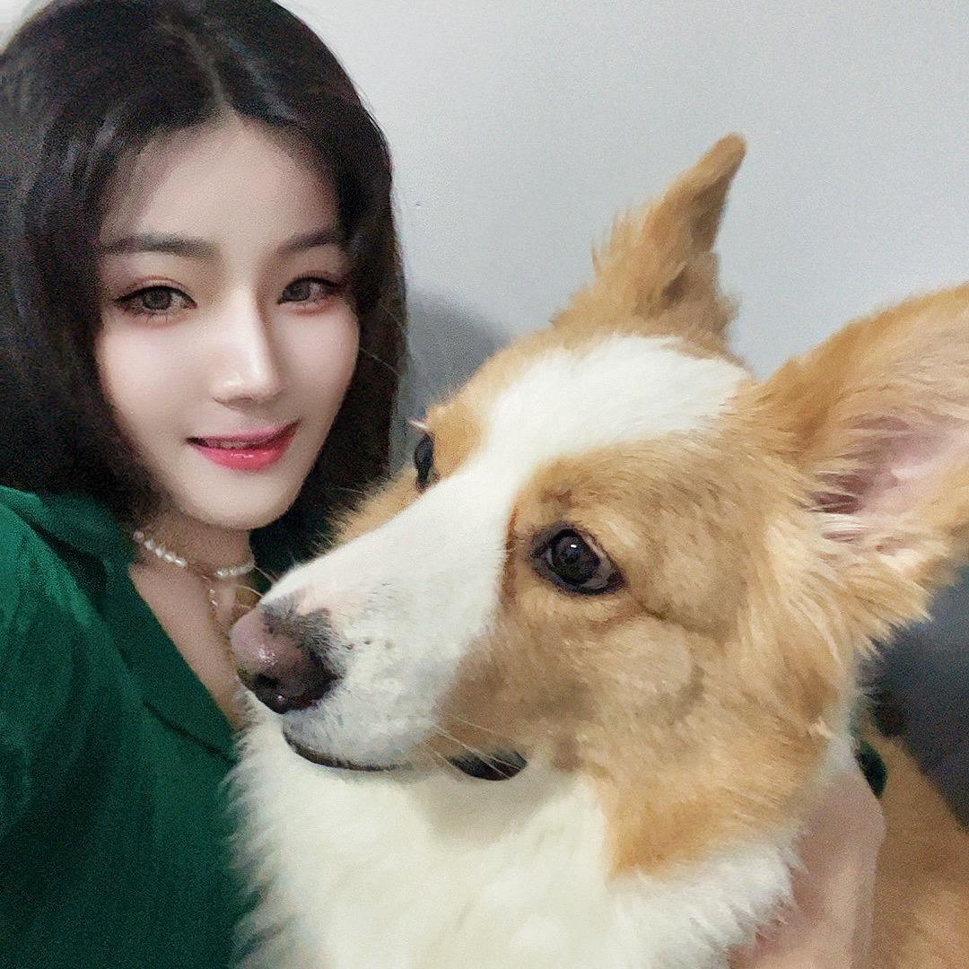 金边LAIMI🐶