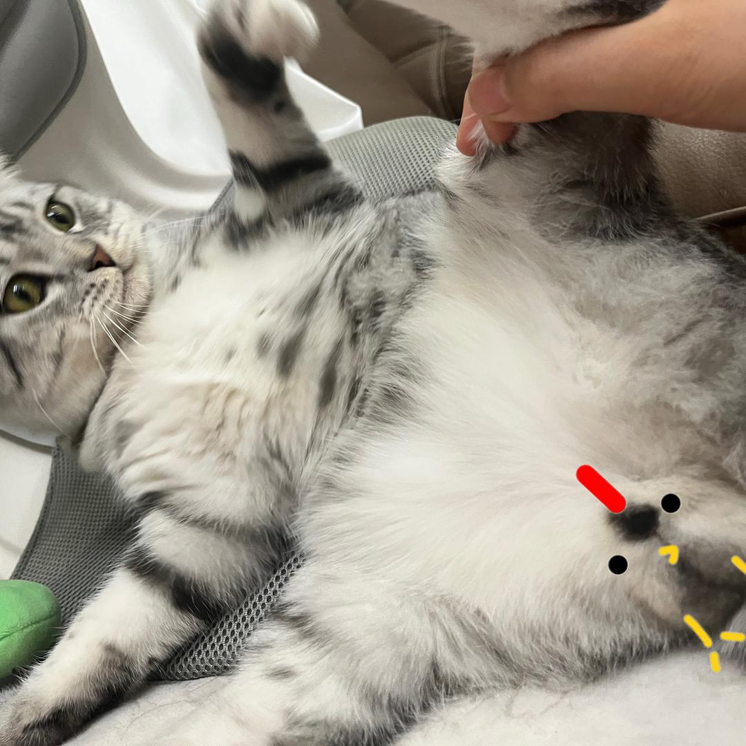 多多的多