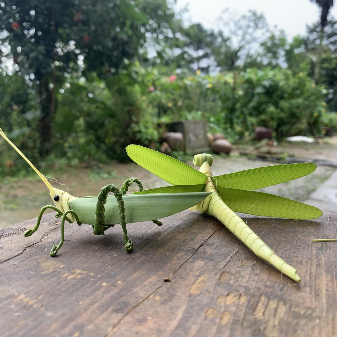 安安山大王的店