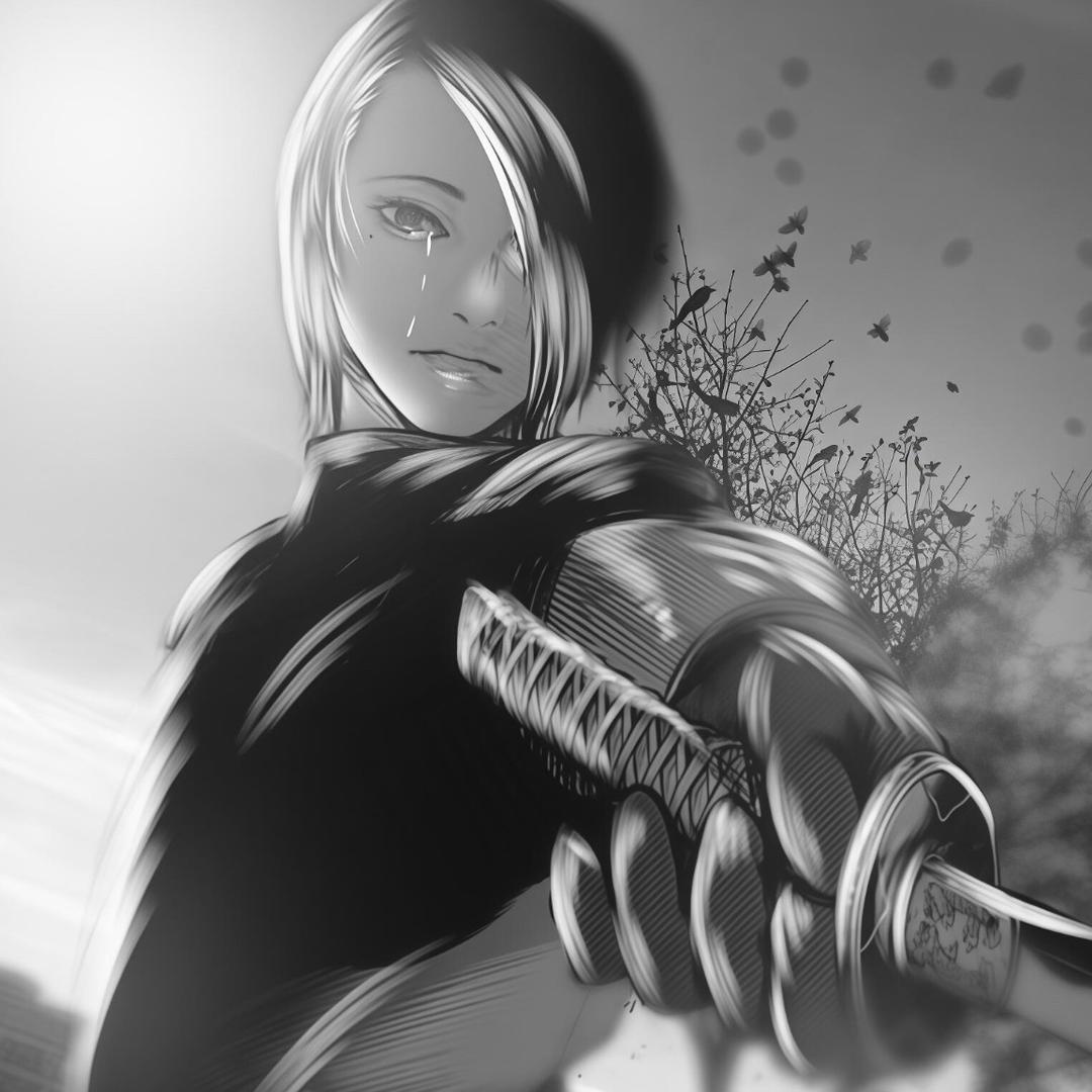 小D