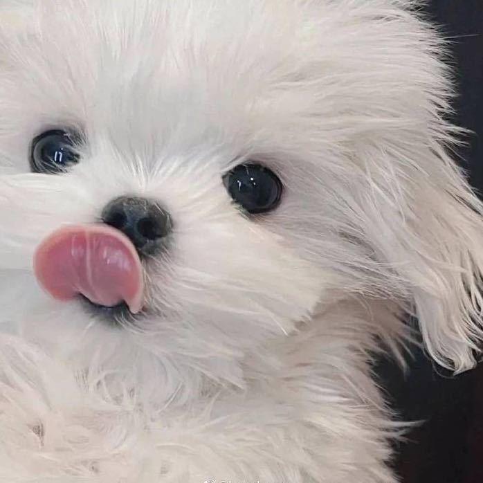 一块很帅的肉_