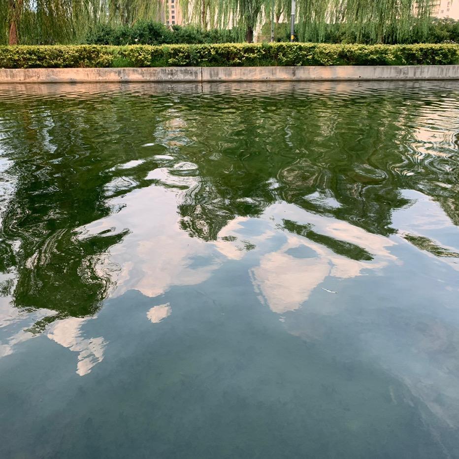 冰樱花洛爱生活