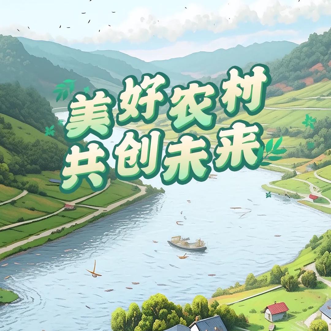 我的家乡在皖北（乡村振兴）