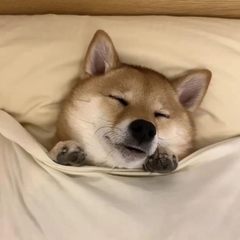 太阳打烊了