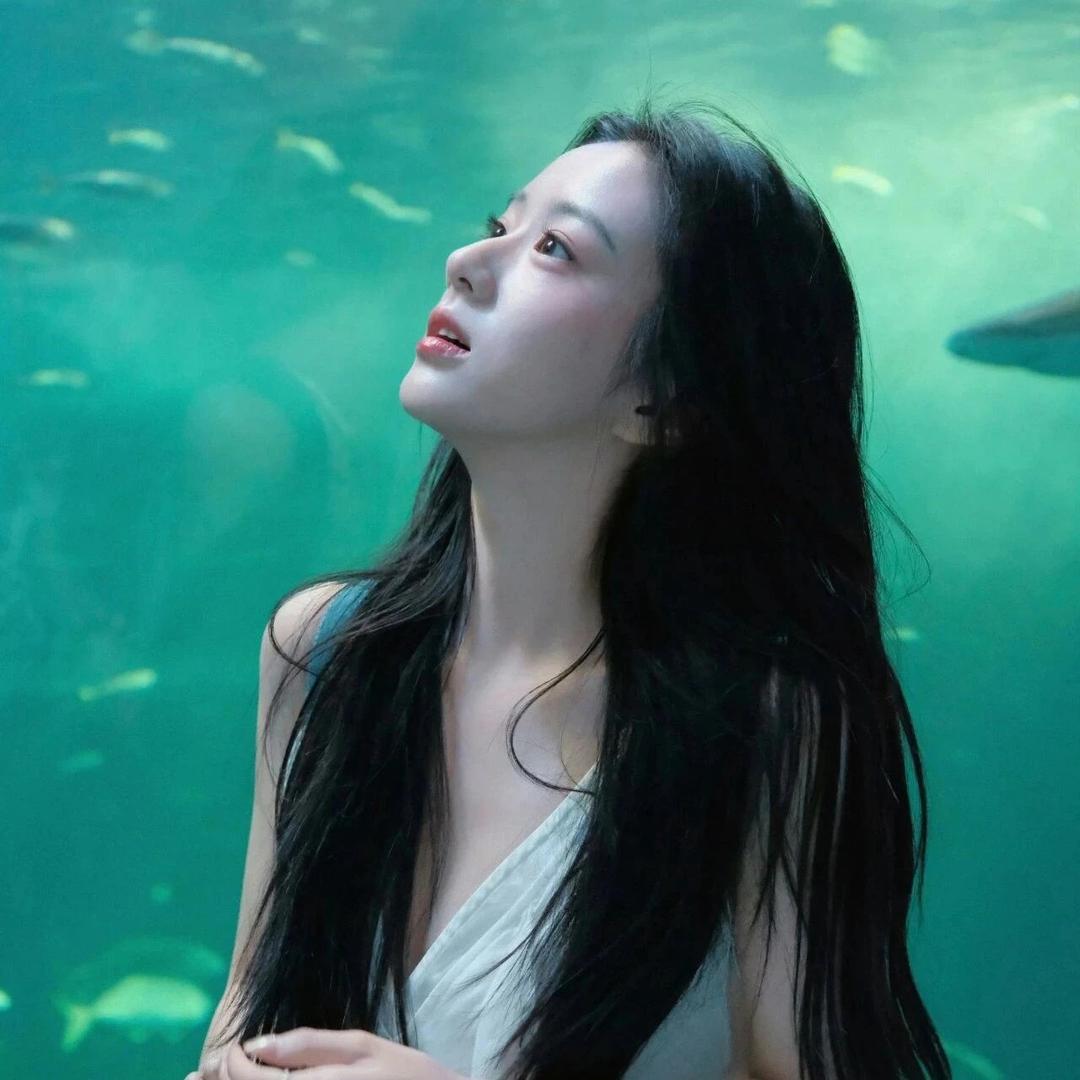 肥肥（🔗在橱窗）