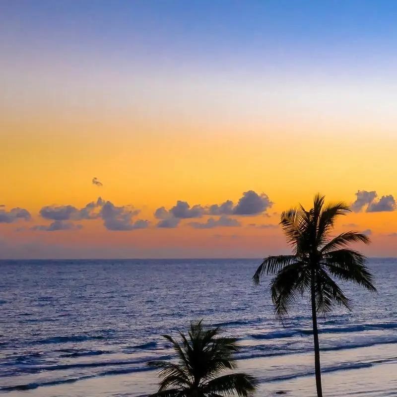 温柔小仙女🧚♀️