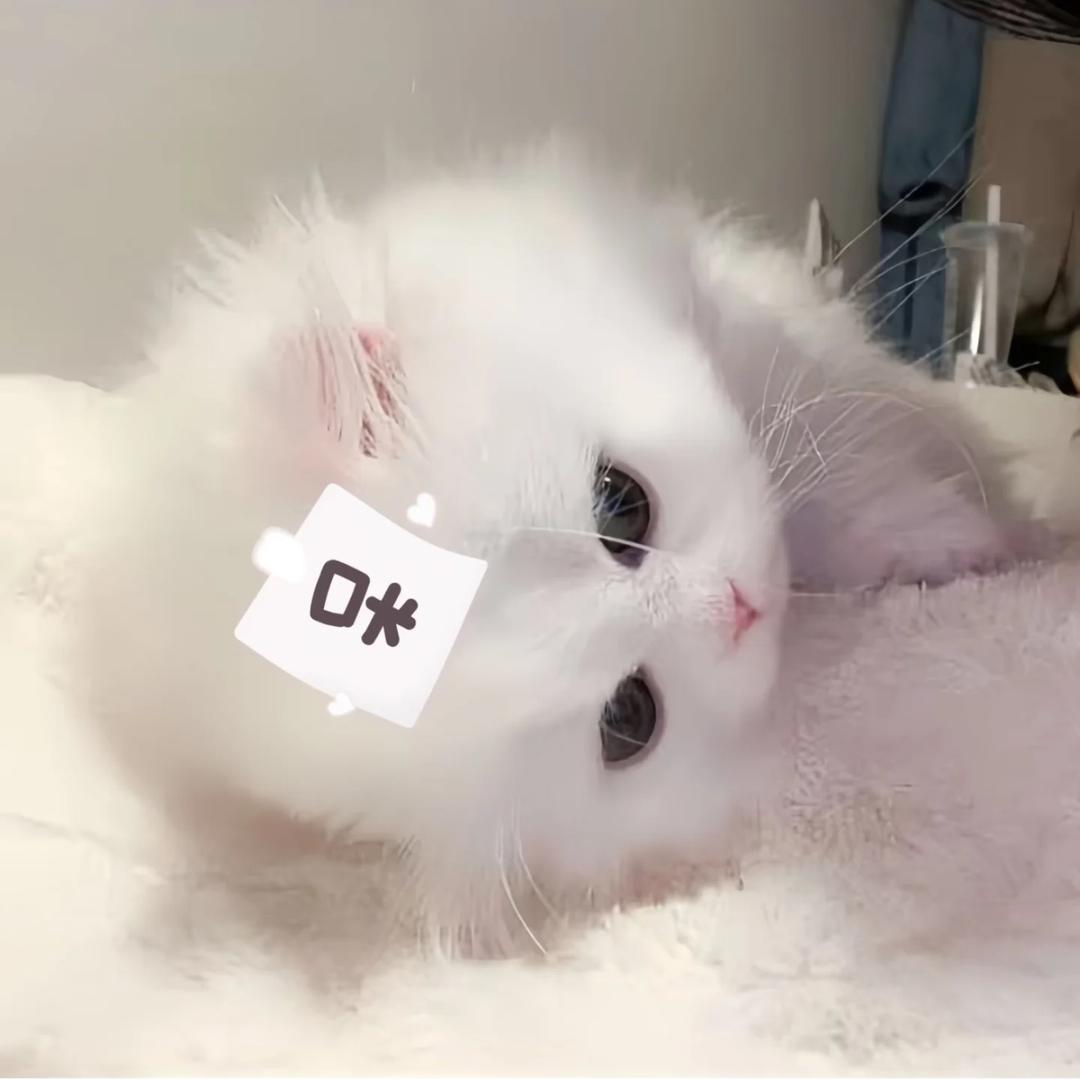 我草莓招了