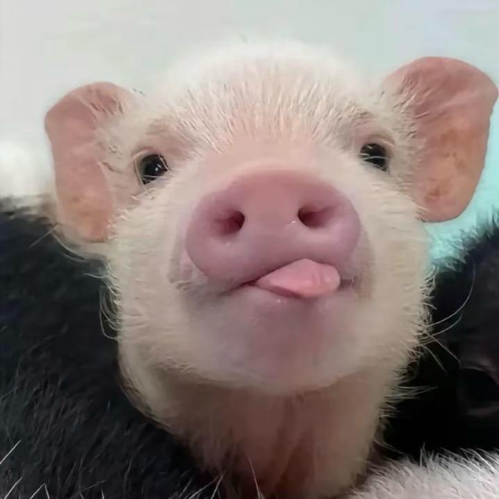 远方
