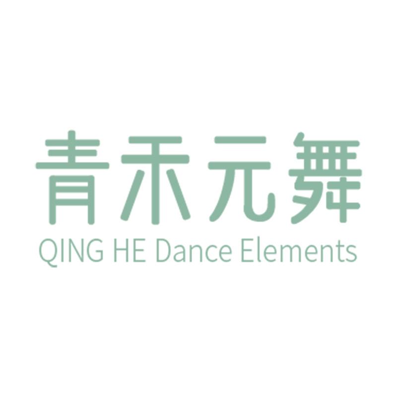 青禾元舞国际拉丁舞服