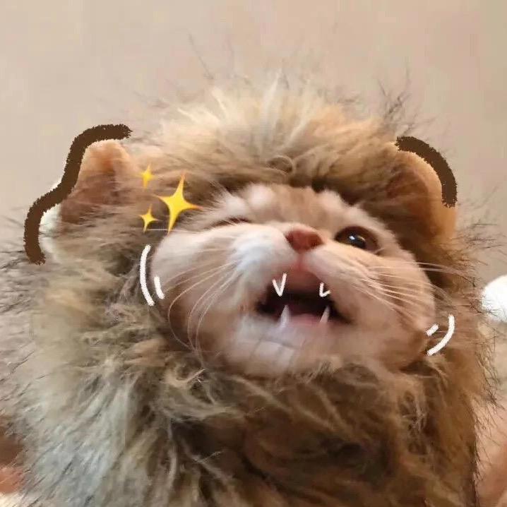 逊风鞋铺