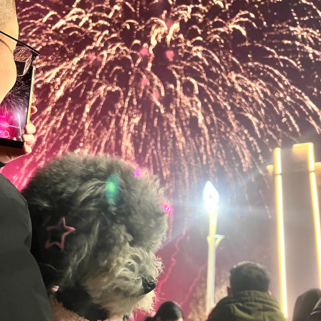 可爱的珍珠૮•ᴥ•ა 🐾（孕晚期）