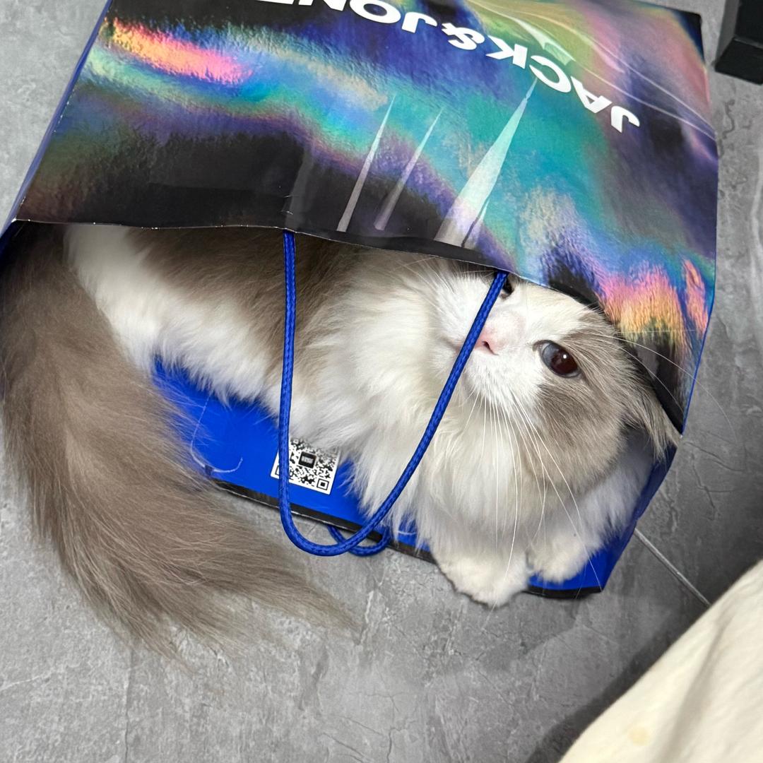 火火