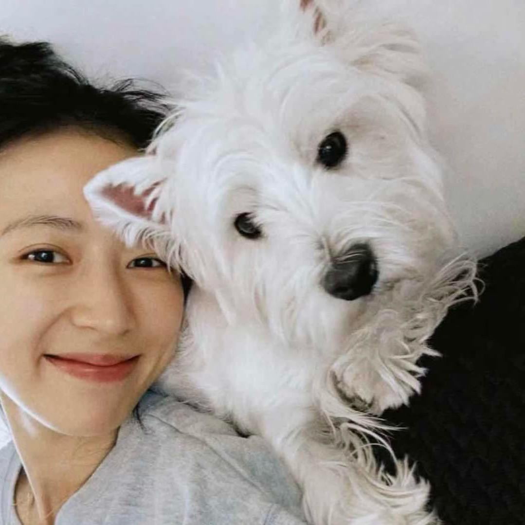 会飞的拖鞋www.