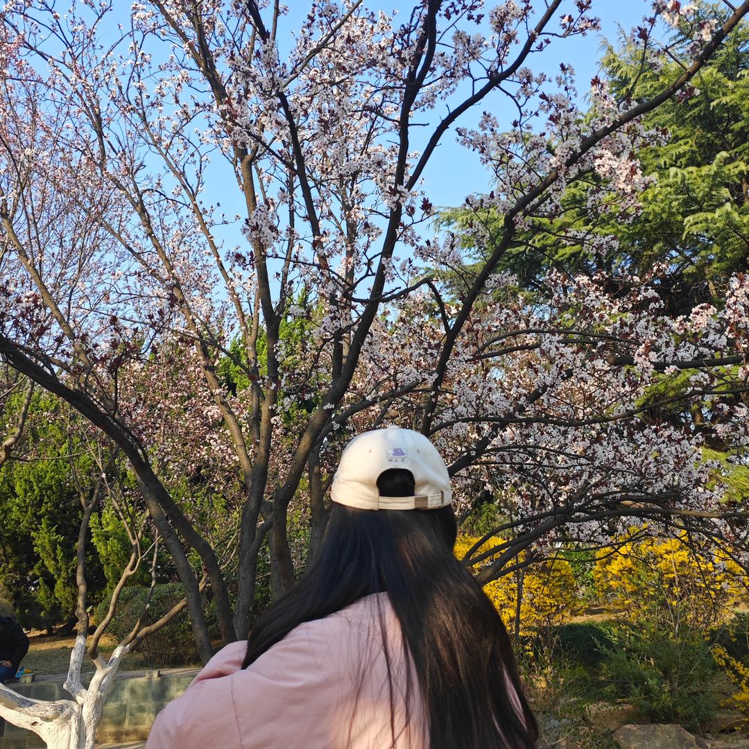 琦宝儿