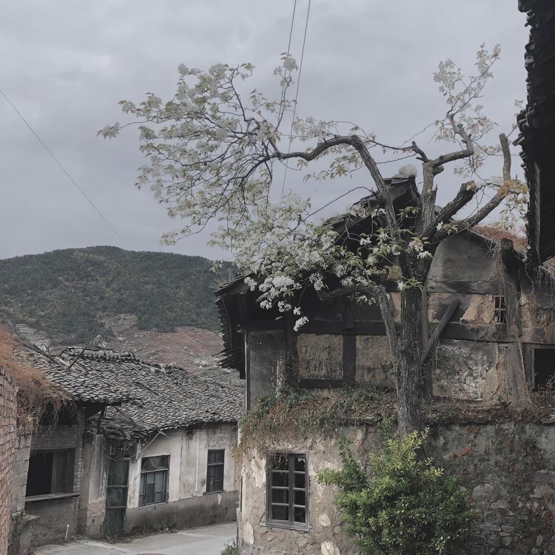 发源号：西南石窟之行