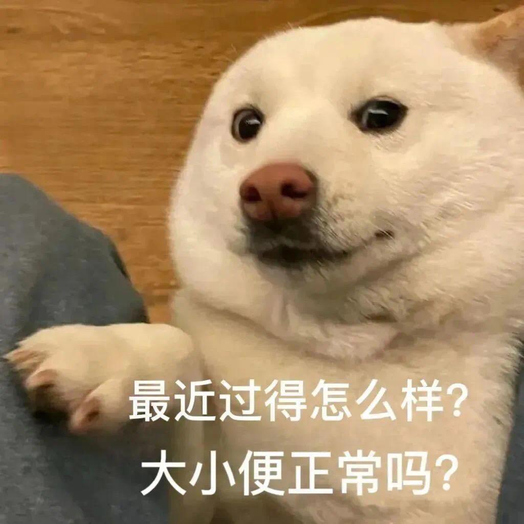 马上睡觉！！