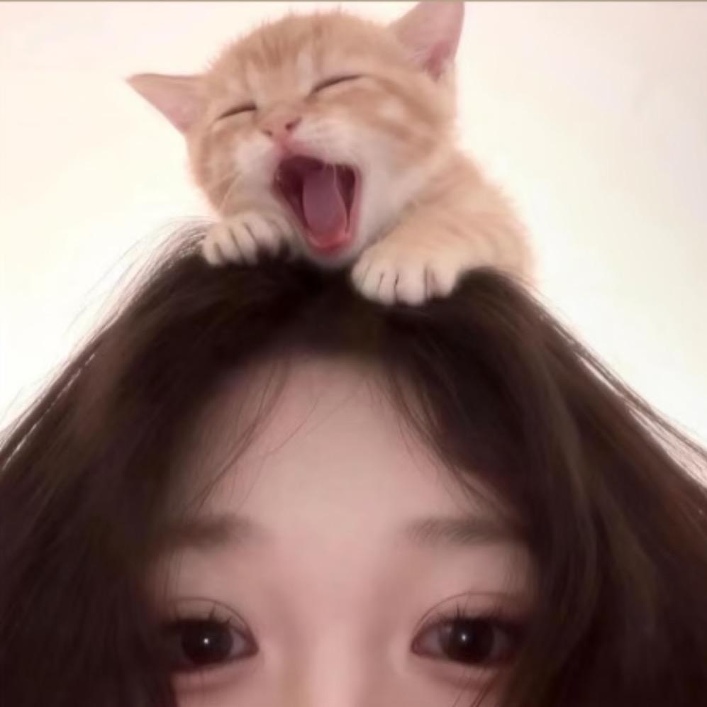 也许.