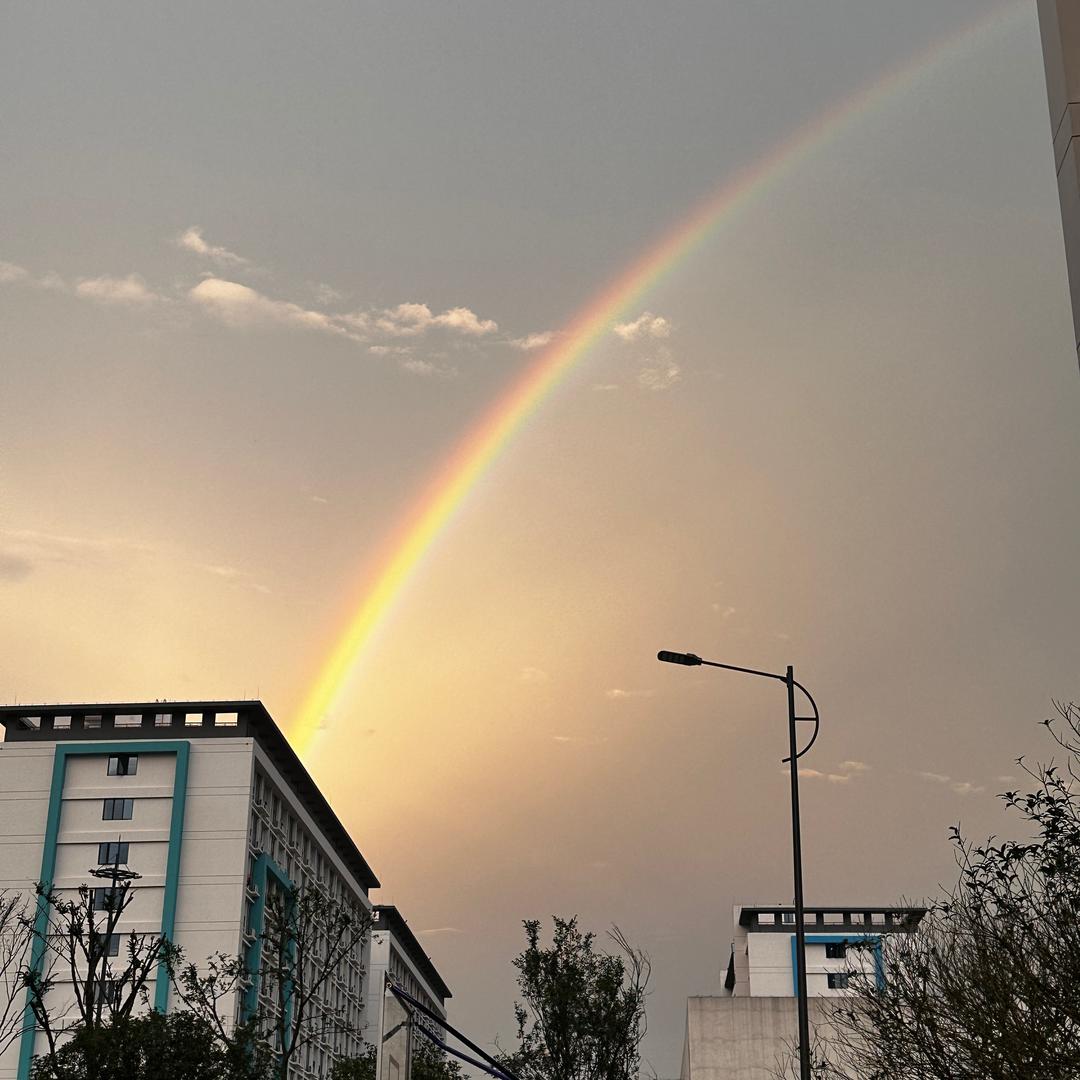 薯一（互关版）