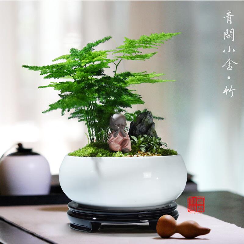 植光森林
