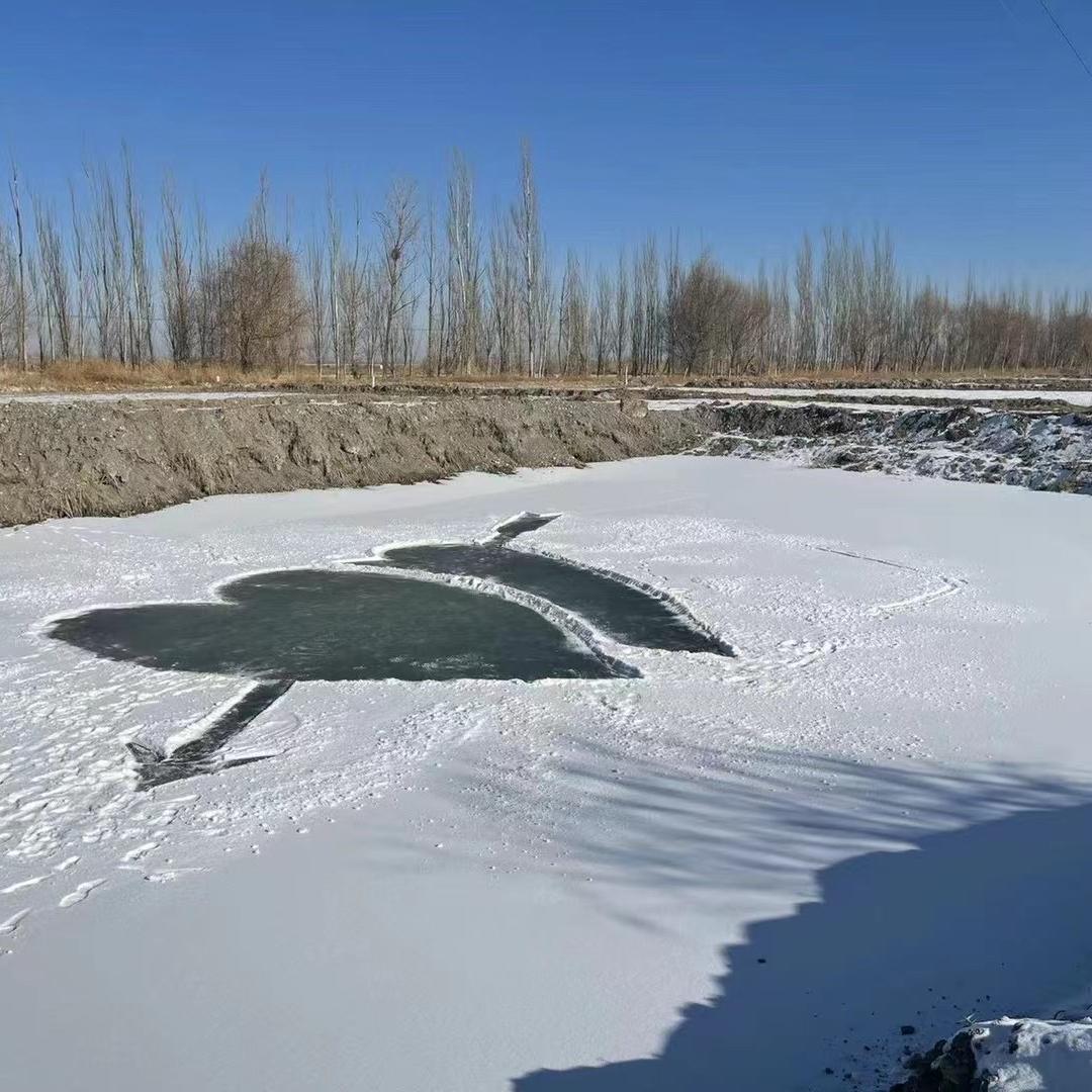 恒安农产供应链