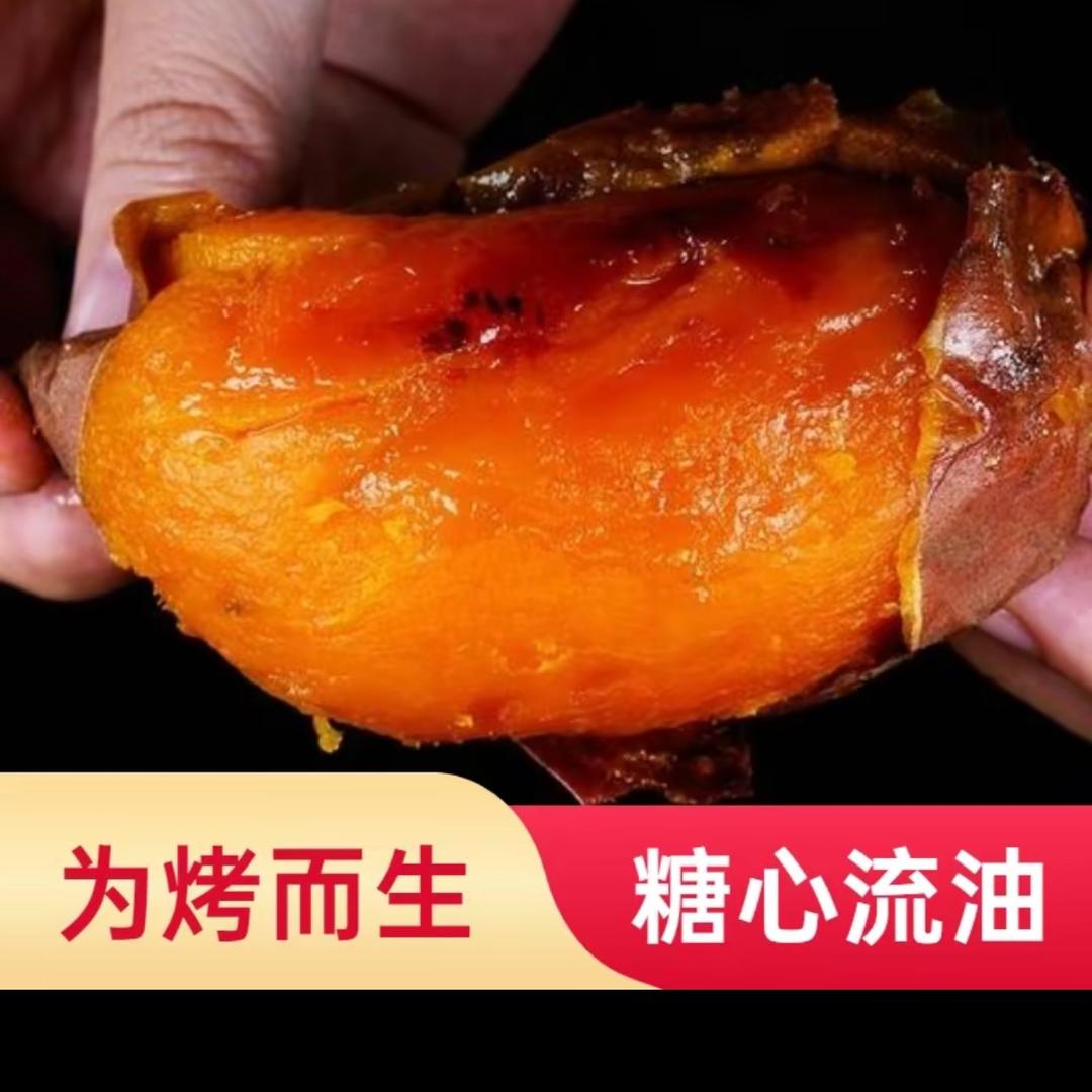 石家庄红薯苗基地
