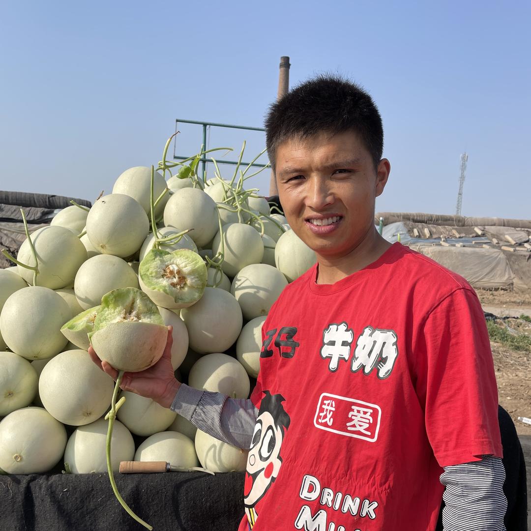 原味牛奶瓜田日记