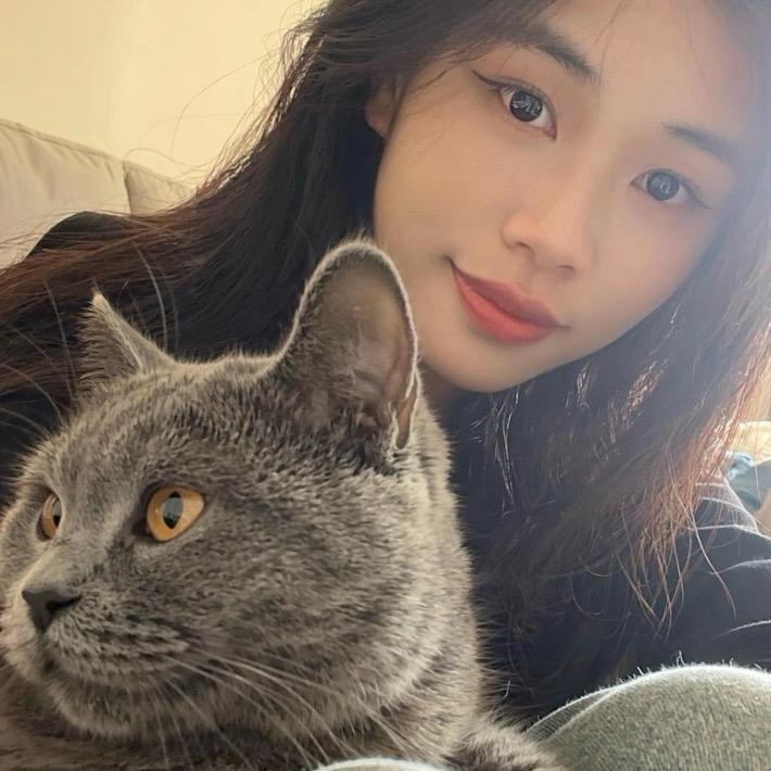 猪美