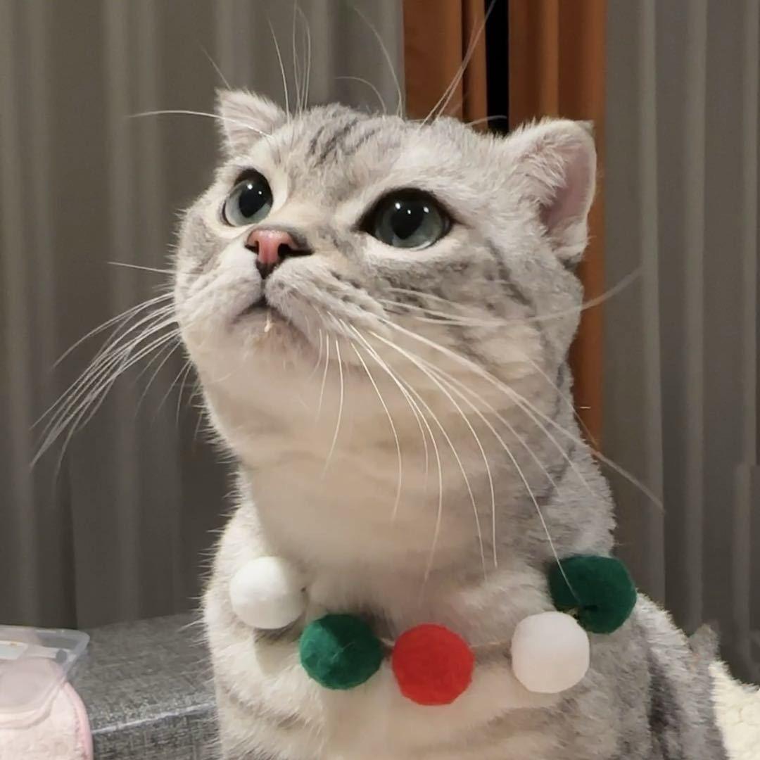 山里有个乔