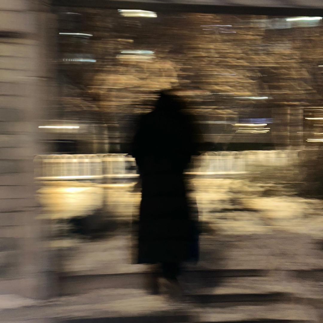 诠释z