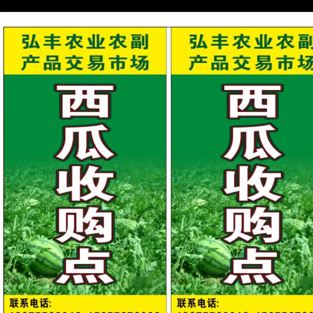 🍉弘丰西瓜交易市场！全国各地代发