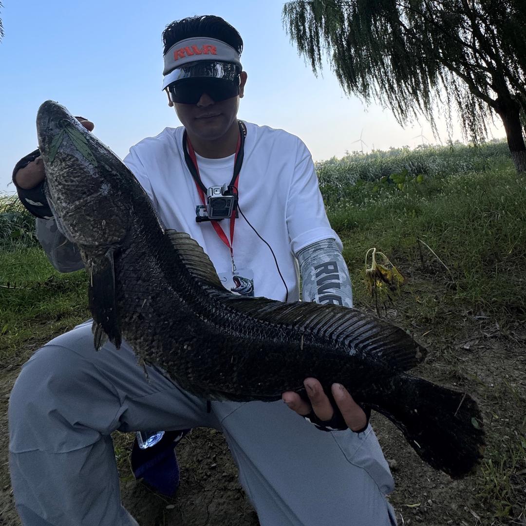 𝑳𝒖𝒓𝒆.🎣張耀揚