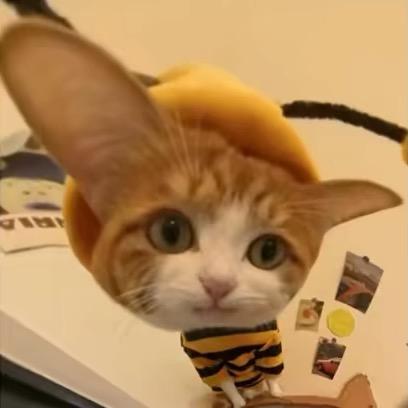 11.