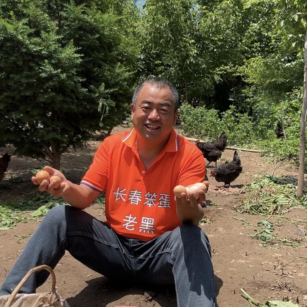 长春老黑的笨鸡蛋