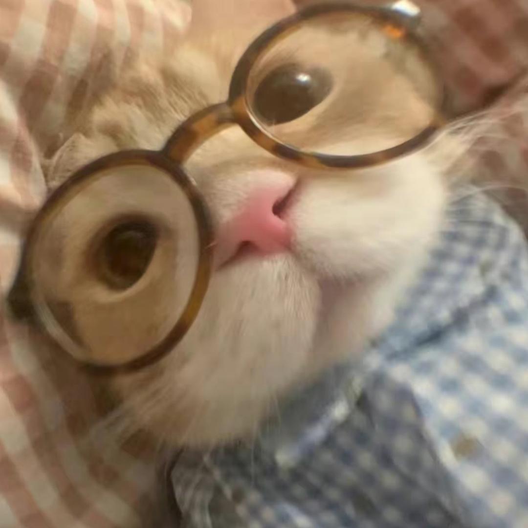流泪猫猫头