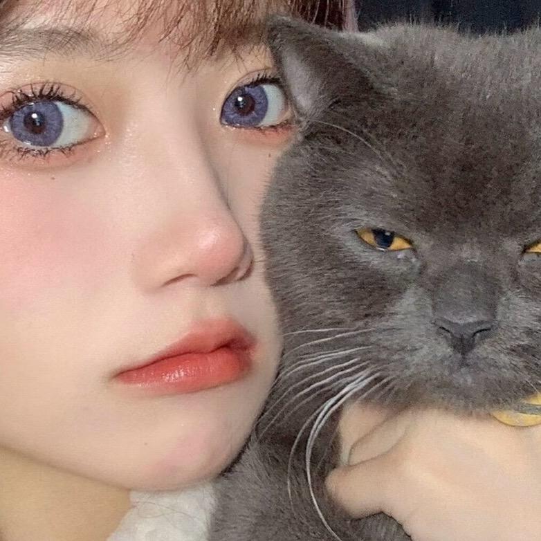不吃香菜🐰