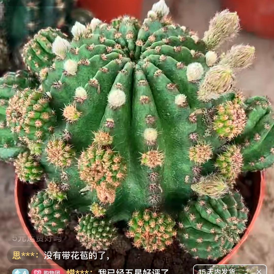 善待自己✅