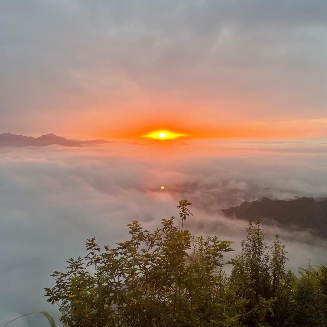 不想上班的努力选手