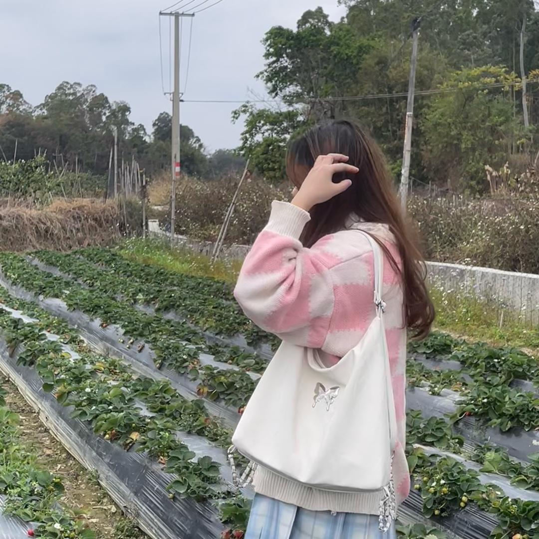 云畔雾隐花
